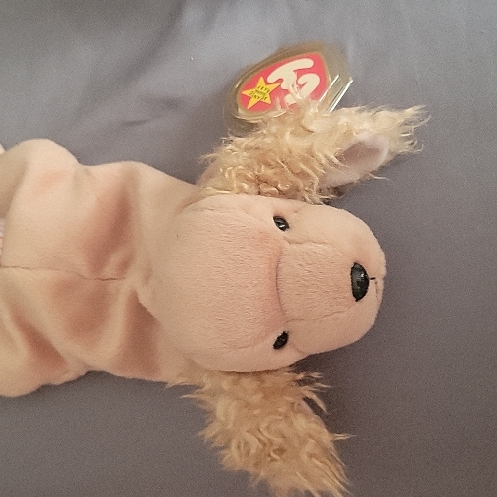Spunky beanie baby